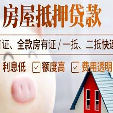 罗城贷款助贷公司新渝启服成立时间久